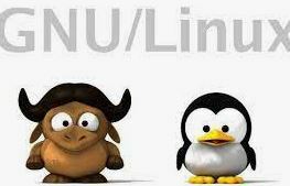 GNU/Linux.