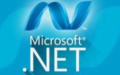 Microsoft Net.