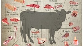 Timeline: SAN VACUNO,EE UU