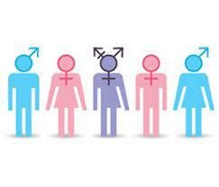 Conceptualización de diferencias