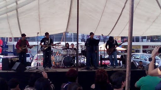 YA SE TOCAR UN INSTRUMENTO MAS