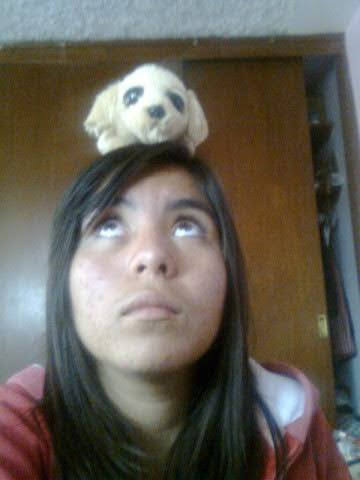 LLEGA UNA AMISTAD Y ALGO MAS A MI VIDA