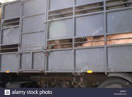 Intervencion de los carriles y el ferrocarril.