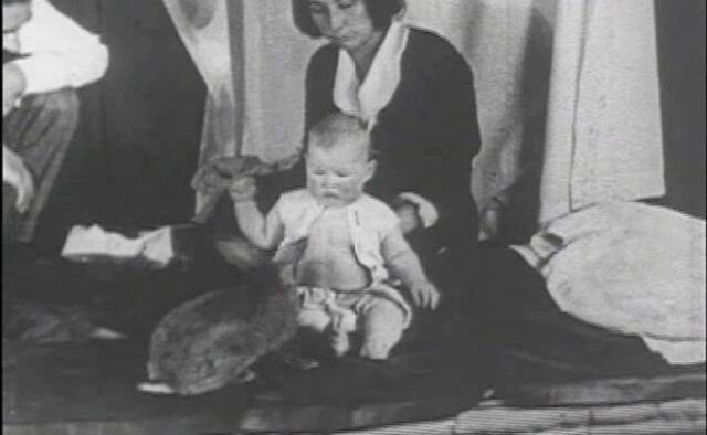 Littel Albert por John Watson.