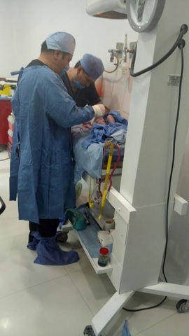 llega a mi vida en amor de mi vida