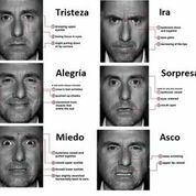 Paul Ekman y la cara de las emociones