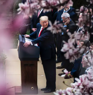 Trump Declares COVID-19 a National Emergency