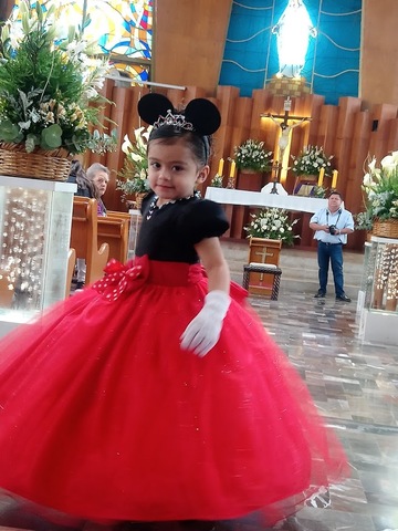 los 3 de mi princesa