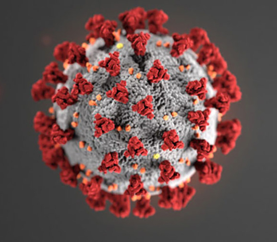 University of Minnesota Begins Testing Hydroxychloroquine