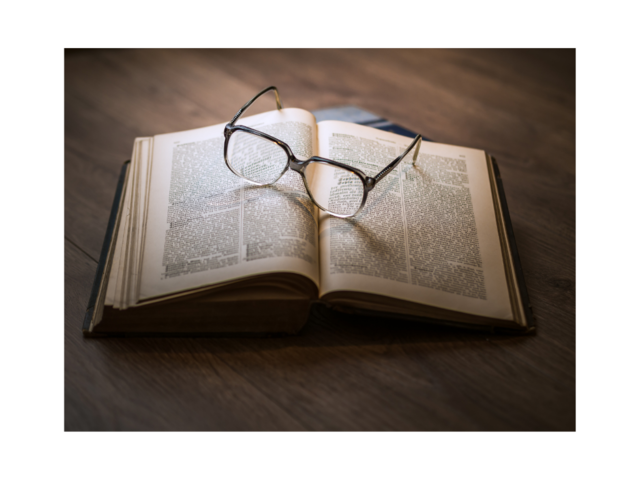 DESARROLLO DE LA DISCIPLINA