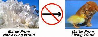 Bridge between life and non life