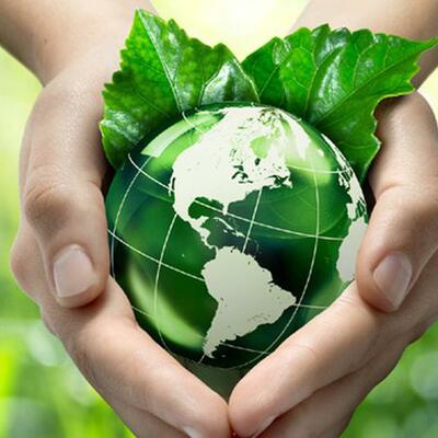 Timeline: Desarrollo Sustentable