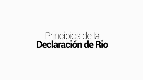 Primer Principio de la Declaración de Río