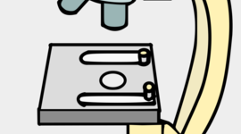 Timeline: Cell Theory Timeline