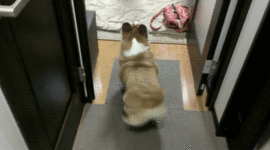 Timeline: NZ history discovery thing