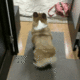 Tumblr 68a28385c92ad7e7eb5538cffa51f7f2 db9ca1e2 400