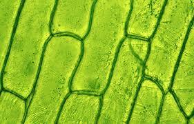 Another realization!