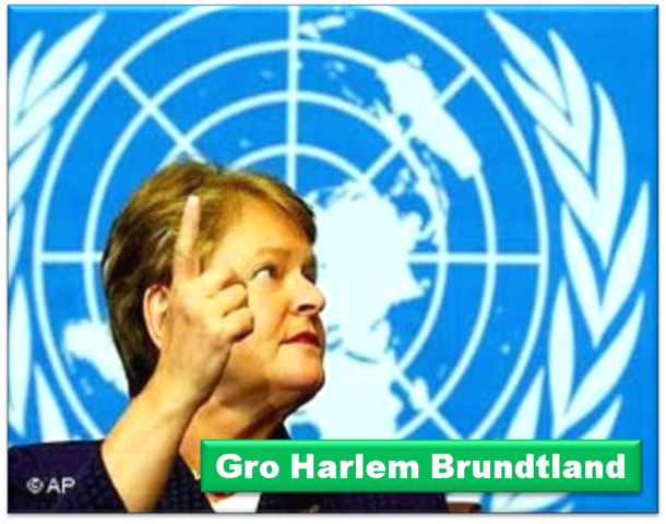 Comisión Brundtland, y su informe