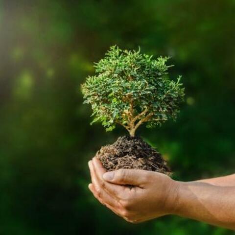 Formulación de nueva ley