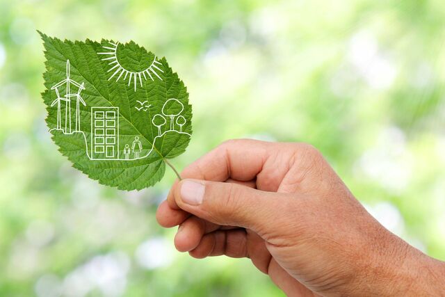 Creación de Agencia