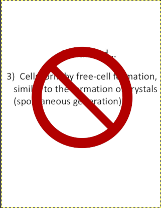 A contradicting statement