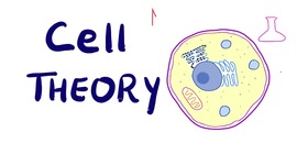 Timeline: Element of Biology: Identifying the parts of Cell Theory