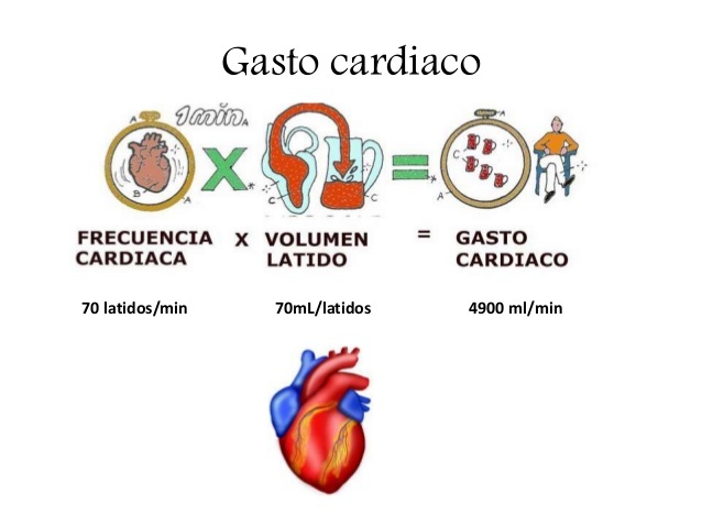 Monitorización invasiva y no invasiva