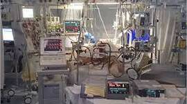 Timeline:  Tecnologías invasivas a través del tiempo en el cuidado del paciente pediátrico