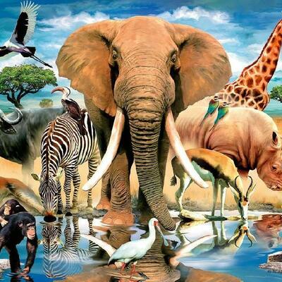 Timeline: Информация вокруг нас