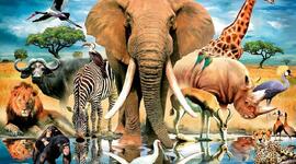 Timeline: Информация вокруг нас