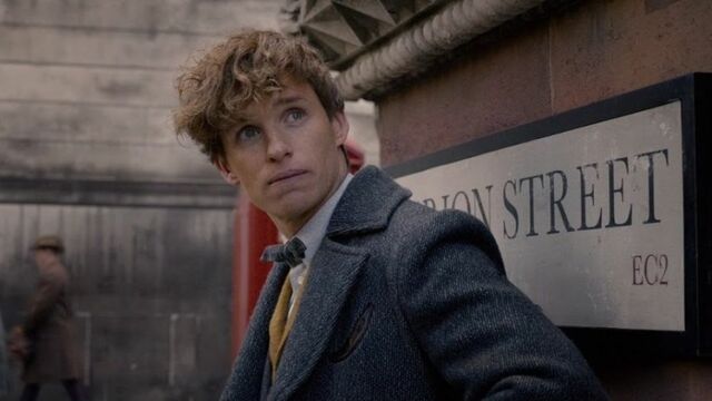 Eddie Redmayne (Newt Scamander)