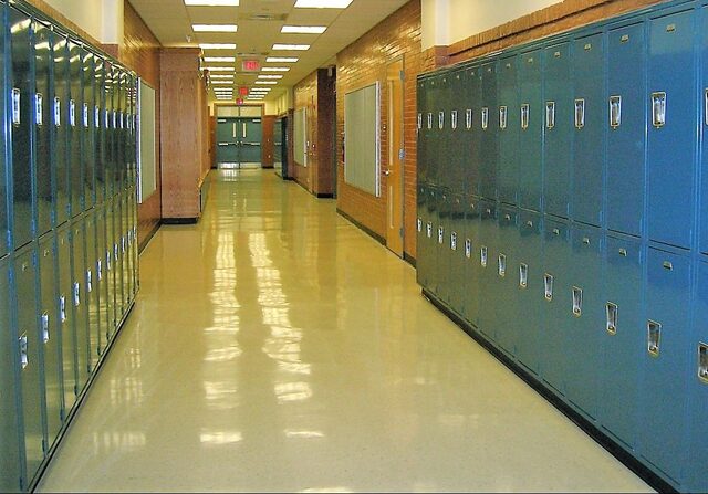 Institutu berdinetara joan ginen