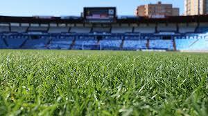 Futbol naturalean hasi nintzen