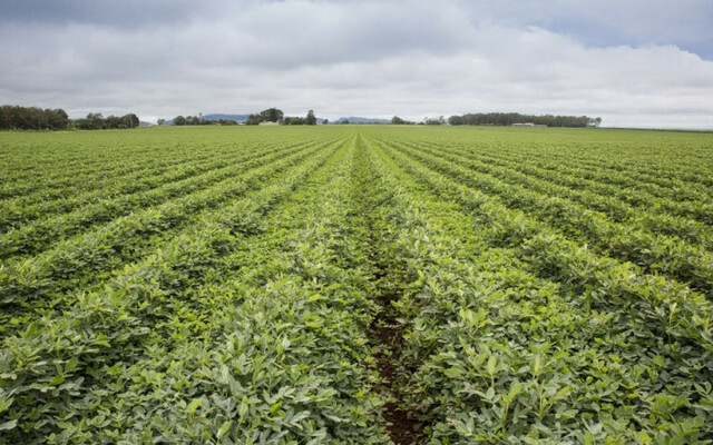 Charles Townshed develops four year crop rotation