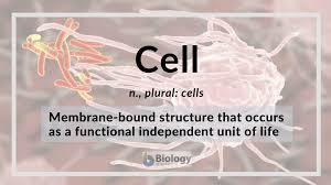 robert taking the term cell