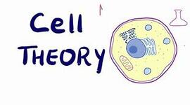 Timeline: Cell theory timeline