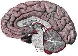 'Black Reaction' developed