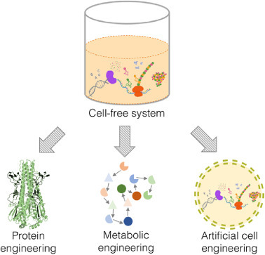 rebert refuted the free cell theory