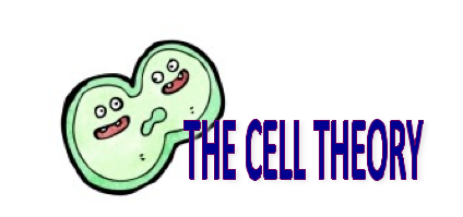 Cell Theory Finalized