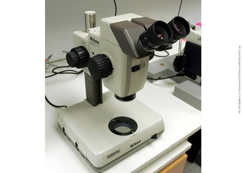 Hooke published micrographic