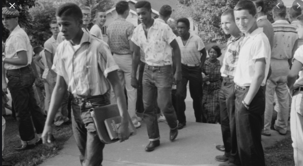 brown vs. board of education (everyone)