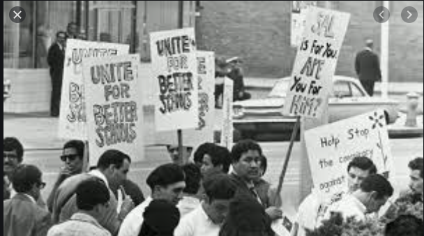 the chicano movement (chicano)