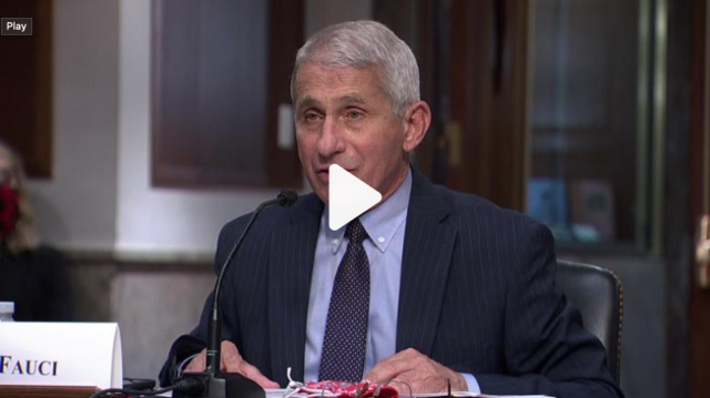 Fauci Warns New COVID-19 Cases Could Hit 100,000 a Day