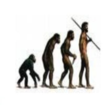 Timeline: Principales Etapas de la Historia Universal