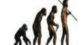 Timeline: Principales Etapas de la Historia Universal