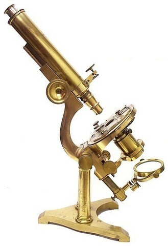the microscope