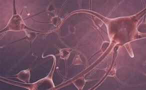 introducing numerous