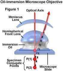 Oil immersion lens, microtome technique, and using new fixing methods and dyes greatly improved microscopy