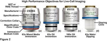 oil-immersion lens