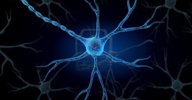 "Nerve-Cell Body and Prolongations Form Independent Unit" Theory Formed